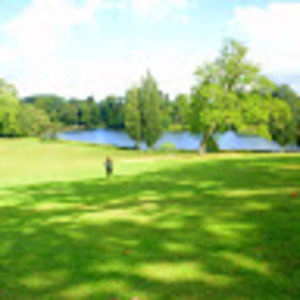 Meet your Posher, Poppy